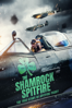 The Shamrock Spitfire - Dominic Higgins & Ian Higgins