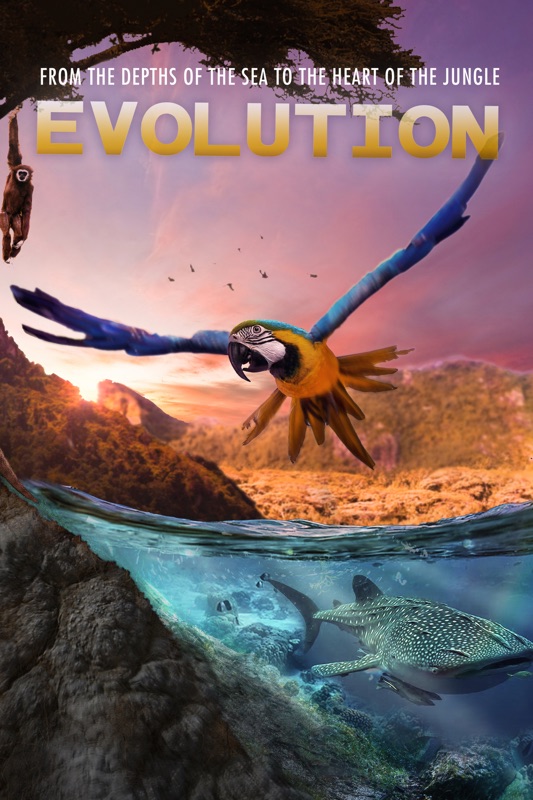 Evolution