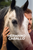 Hermano caballo - Marcel Barrena