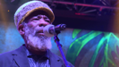 True Rasta Man, Rototom Sunsplash, Benicasim, 2019 - Misty In Roots