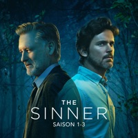 Télécharger The Sinner, Saison 1-3 Episode 6