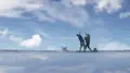 Cielo
