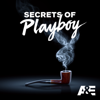 Secrets of Playboy - The Playboy Legacy  artwork