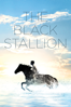 The Black Stallion - Carroll Ballard