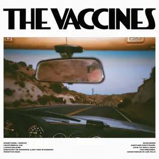 The Vaccines – Pick-Up Full Of Pink Carnations (2024) The Vaccines – Pick-Up Full Of Pink Carnations (2024)