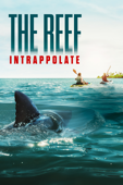 The Reef: intrappolate