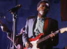 Smoking Gun - Robert Cray