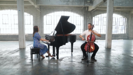 Canon in D (Pachelbel's Canon) - Brooklyn Duo