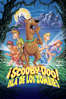 Scooby Doo en la isla de los zombie (Scooby-Doo on Zombie Island) - Jim Stenstrum