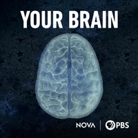 Your Brain, Season 1