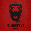 Splinter - 12 Monkeys