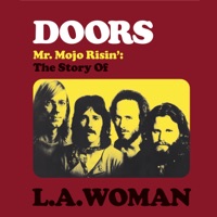Télécharger The Doors: Mr Mojo Risin', The Story of L.A. Woman Episode 1