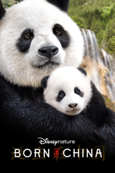 Disneynature: Born In China - Lu Chuan Cover Art