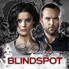 Blindspot