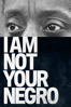 I Am Not Your Negro - Raoul Peck