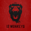 Le choix est fait - 12 Monkeys