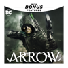 Arrow - The Dragon artwork