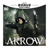 Arrow - Life Sentence artwork