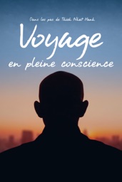 Voyage en pleine conscience