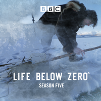 Life Below Zero - Life Below Zero, Season 5 artwork