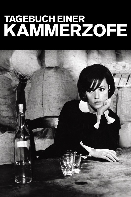 Tagebuch einer Kammerzofe