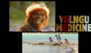 Healing Stone - Yothu Yindi