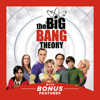 The Big Bang Theory - The Big Bang Theory, Season 9  artwork