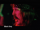 Black Dog (Live at Madison Square Garden, New York, NY, 7/1973) - Led Zeppelin