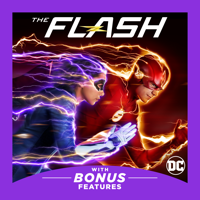 The Flash - The Flash, Season 5 artwork