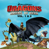 Dragons: Riders of Berk, Vol. 1 & 2 - Dragons: Riders of Berk