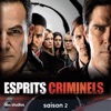 Esprits criminels