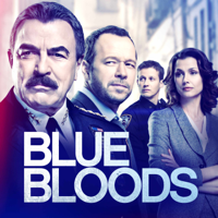 Blue Bloods - Playing with Fire artwork