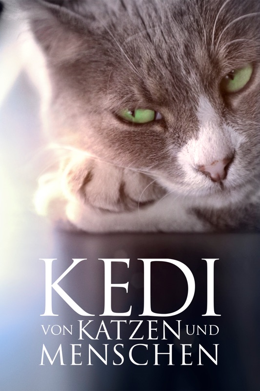 Kedi - Von Katzen und Menschen