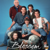 Here Comes the Buzz - Blossom