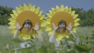 Himawarino Sakamichi - Petit Milady