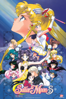 Sailor Moon S: The Movie - Hiroki Shibata