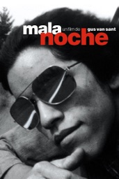 Mala noche