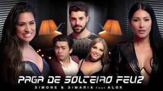 Paga De Solteiro Feliz (feat. Alok)