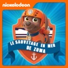 Paw Patrol, la Pat’ Patrouille