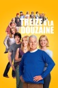 Affiche du film Treize à la douzaine