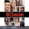 48H - Grey's Anatomy