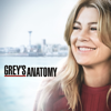 What I Did for Love - Grey's Anatomy