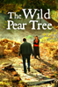 The Wild Pear Tree - Nuri Bilge Ceylan