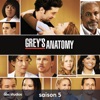 Tété  Grey's Anatomy, Saison 5 (VF)