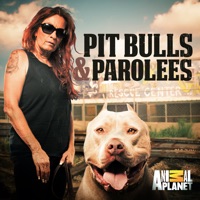 Pit Bulls and Parolees, Season 10