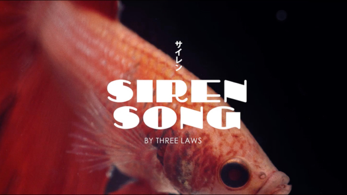 Siren Song. Three Laws - Siren Song перевод. Apples from Mars Siren Song. Siren Song paramour цена. Good as gold three laws