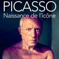 Télécharger Picasso. Naissance de l'icône Episode 1