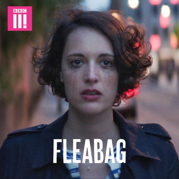 Fleabag Poster