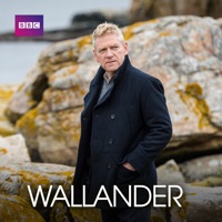 Télécharger Wallander, Series 4: The Final Chapter Episode 101