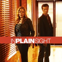 In Plain Sight - In Plain Sight, The Complete Collection artwork